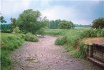 Terry Marsh, CEH © NERC 1991 - River Ver upstream of St Albans dried up in 1991 as a result of heavy groundwater abstraction